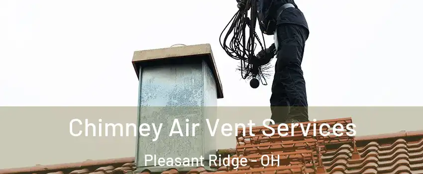 Chimney Air Vent Services Pleasant Ridge - OH