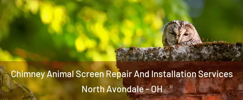 Chimney Animal Screen Repair And Installation Services North Avondale - OH