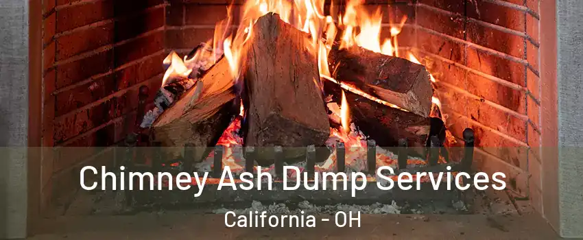Chimney Ash Dump Services California - OH