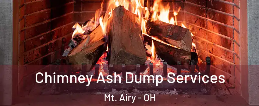 Chimney Ash Dump Services Mt. Airy - OH