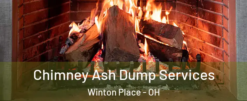 Chimney Ash Dump Services Winton Place - OH