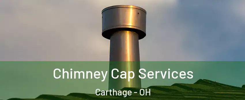 Chimney Cap Services Carthage - OH