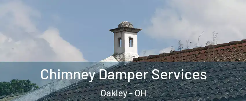 Chimney Damper Services Oakley - OH