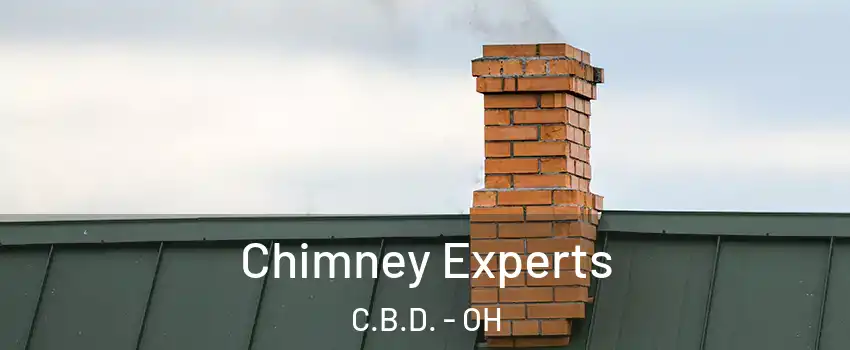 Chimney Experts C.B.D. - OH