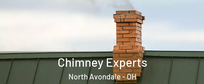 Chimney Experts North Avondale - OH