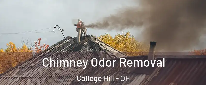 Chimney Odor Removal College Hill - OH