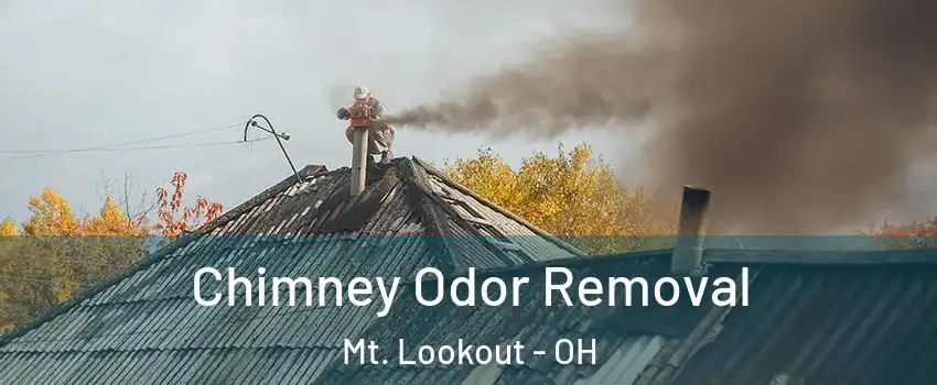 Chimney Odor Removal Mt. Lookout - OH