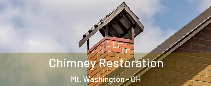 Chimney Restoration Mt. Washington - OH