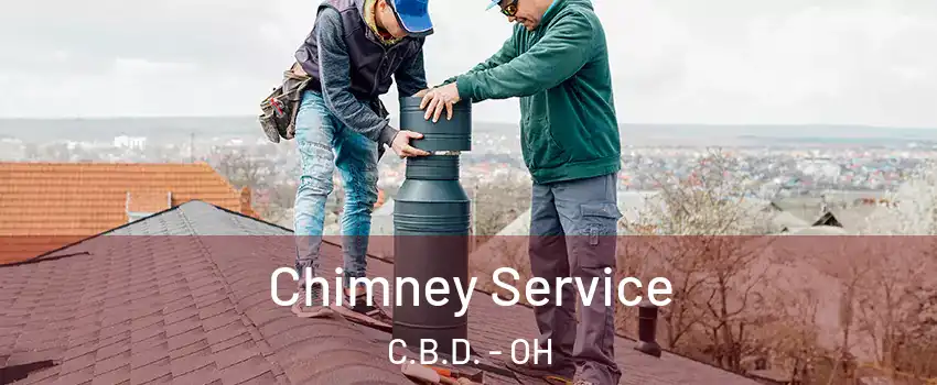 Chimney Service C.B.D. - OH