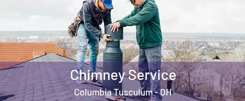 Chimney Service Columbia Tusculum - OH