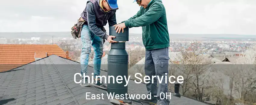 Chimney Service East Westwood - OH