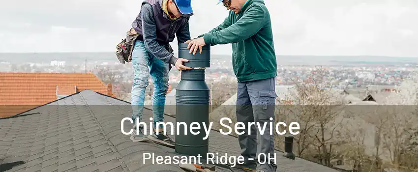 Chimney Service Pleasant Ridge - OH