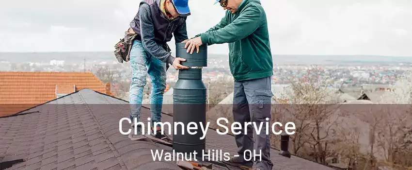 Chimney Service Walnut Hills - OH