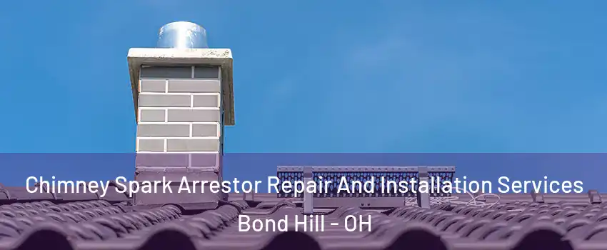 Chimney Spark Arrestor Repair And Installation Services Bond Hill - OH