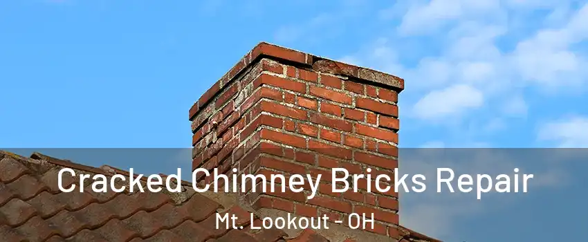 Cracked Chimney Bricks Repair Mt. Lookout - OH