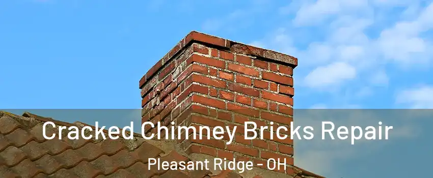 Cracked Chimney Bricks Repair Pleasant Ridge - OH