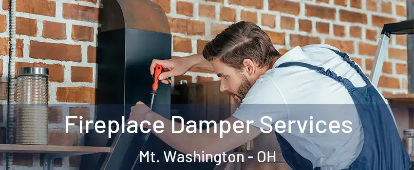 Fireplace Damper Services Mt. Washington - OH