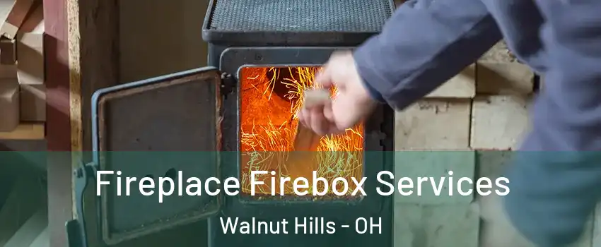 Fireplace Firebox Services Walnut Hills - OH