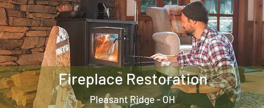 Fireplace Restoration Pleasant Ridge - OH