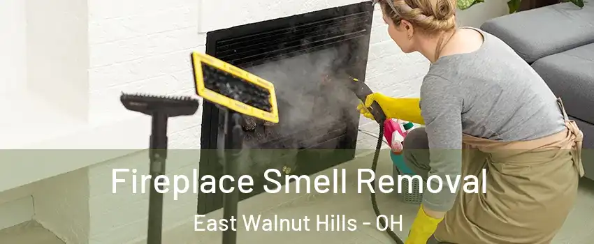 Fireplace Smell Removal East Walnut Hills - OH