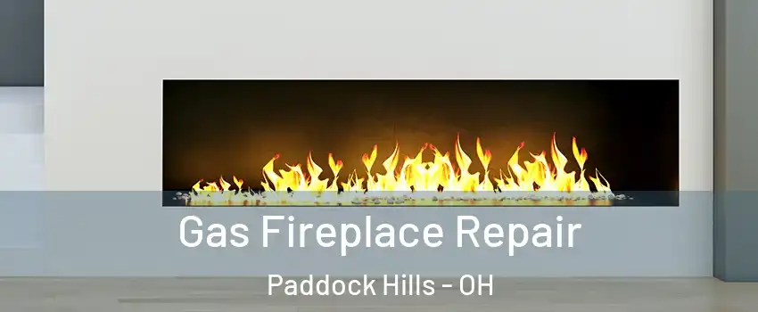Gas Fireplace Repair Paddock Hills - OH