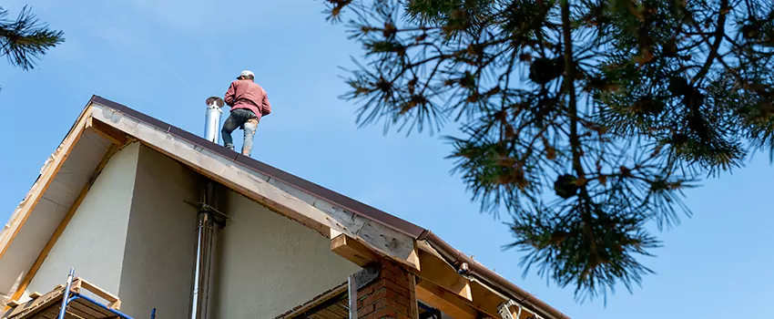 Birds Removal Contractors from Chimney in Queensgate, OH