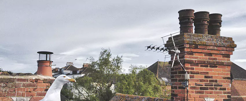 Chimney Cleaning And Restoration in Queensgate, Ohio