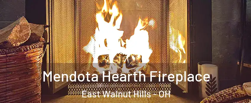 Mendota Hearth Fireplace East Walnut Hills - OH