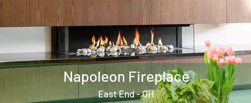 Napoleon Fireplace East End - OH